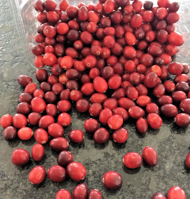 Cranberry Ketchup Recipe Cuisine Fiend